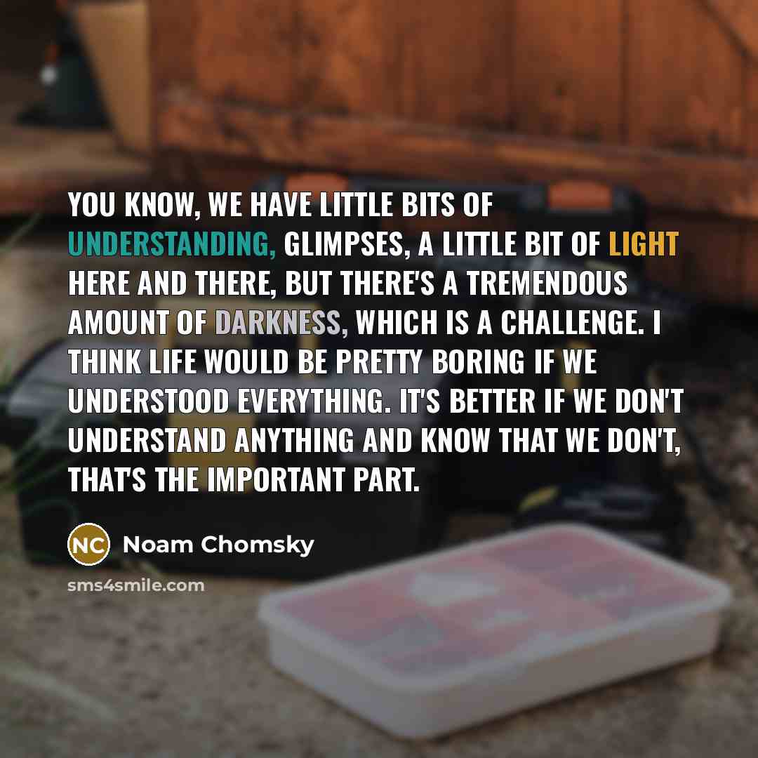 “You know, we have little bits of understanding, glimpses, a little bit of light here and there, but there's a tremendous amount of darkness, which is a challenge. I think life would be pretty boring if we understood everything. It's better if we don't understand anything and know that we don't…” quote by Noam Chomsky