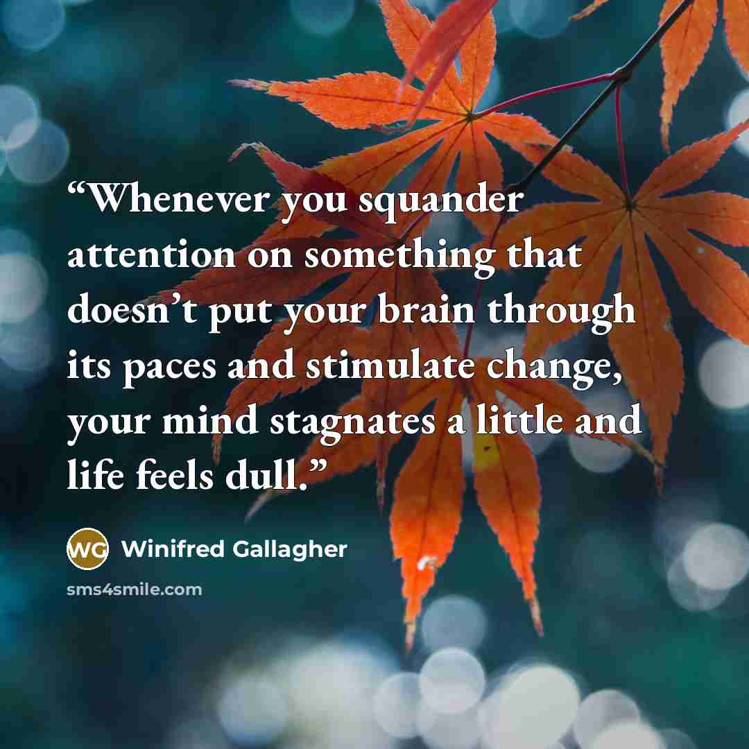 “Whenever you squander attention on something that doesn’t put your brain through its paces and stimulate change, your mind stagnates a little and life feels dull.” quote by Winifred Gallagher