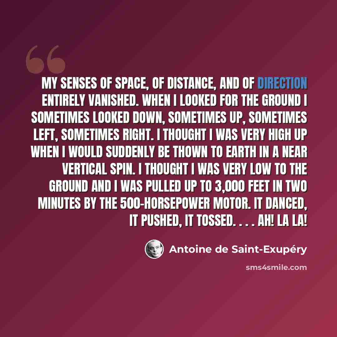 “My senses of space, of distance, and of direction entirely vanished. When I looked for the ground I sometimes looked down, sometimes up, sometimes left, sometimes right. I thought I was very high up when I would suddenly be thown to earth in a near vertical spin. I thought I was very low to the…” quote by Antoine de Saint-Exupery