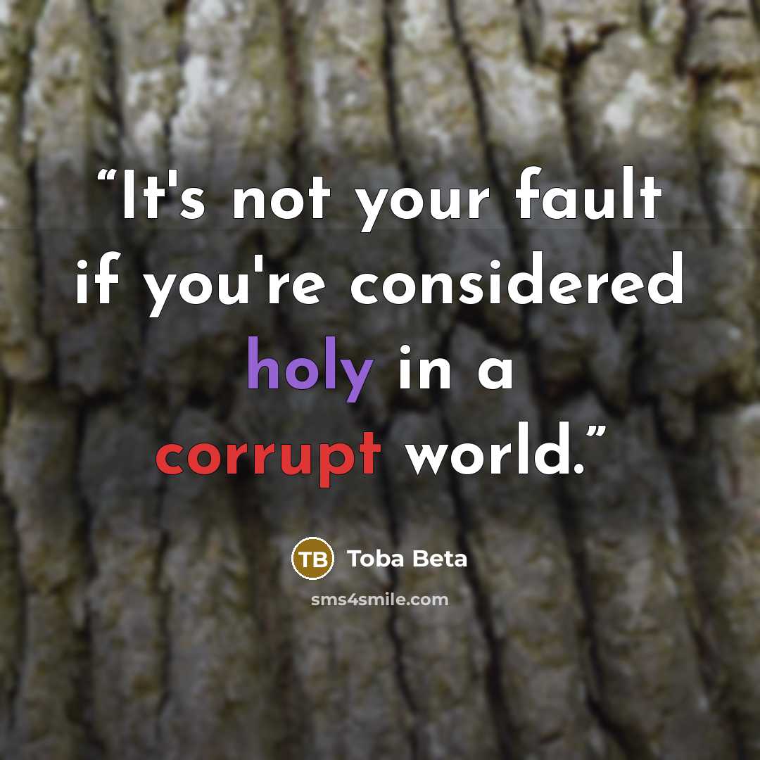 “It's not your fault if you're considered holy in a corrupt world.” quote by Toba Beta