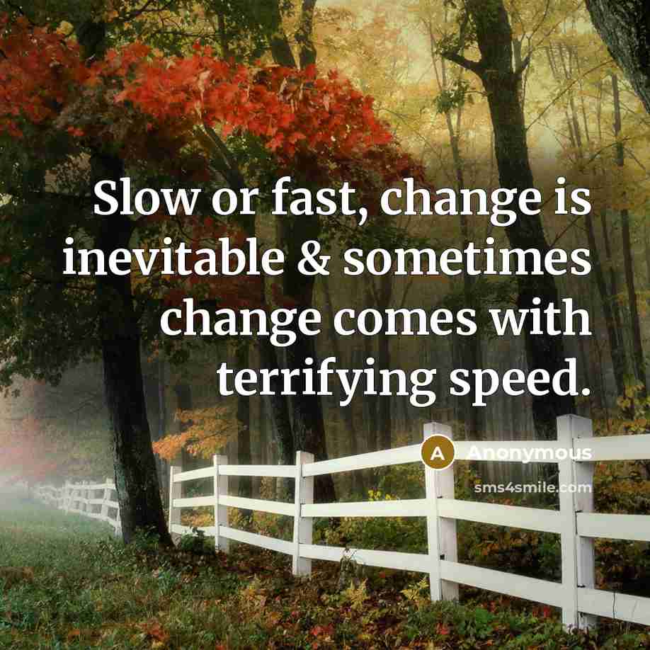 “Slow or fast, change is inevitable & sometimes change comes with terrifying speed.” quote by Anonymous