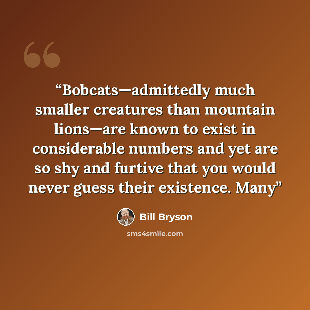 “Bobcats—admittedly much smaller creatures than mountain lions—are known to exist in considerable numbers and yet are so shy and furtive that you would never guess their existence. Many” quote by Bill Bryson