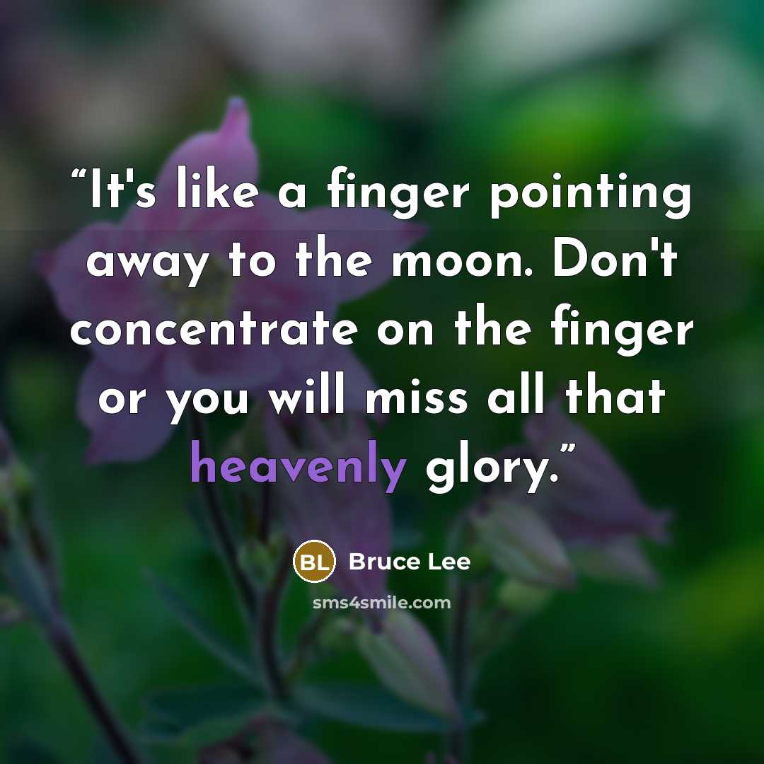 “It's like a finger pointing away to the moon. Don't concentrate on the finger or you will miss all that heavenly glory.” quote by Bruce Lee