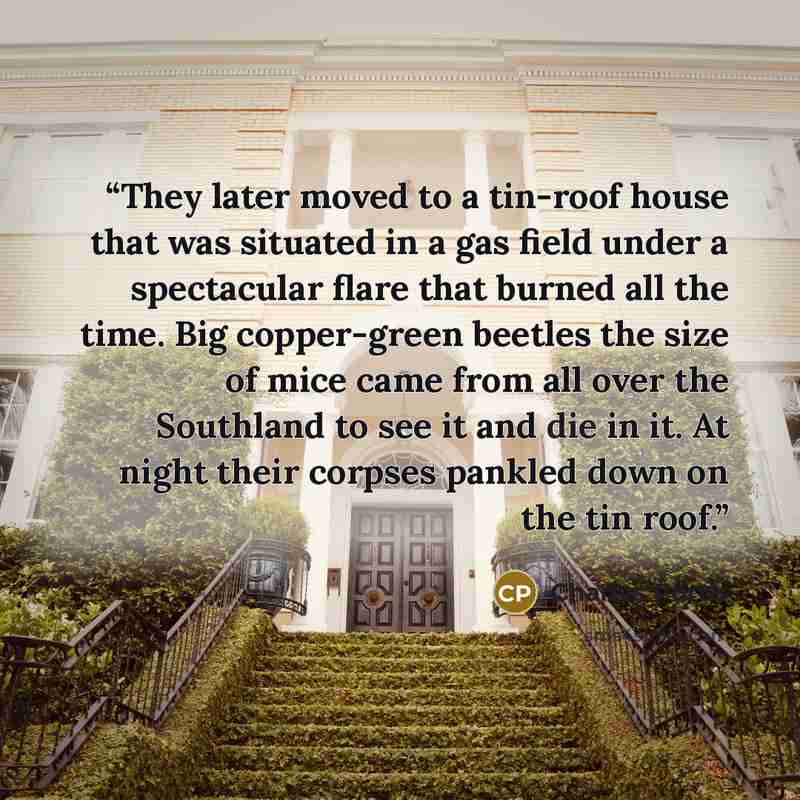 “They later moved to a tin-roof house that was situated in a gas field under a spectacular flare that burned all the time. Big copper-green beetles the size of mice came from all over the Southland to see it and die in it. At night their corpses pankled down on the tin roof.” quote by Charles Portis
