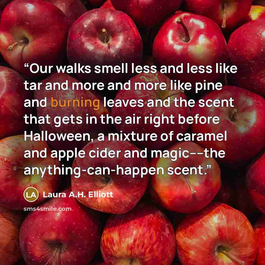 “Our walks smell less and less like tar and more and more like pine and burning leaves and the scent that gets in the air right before Halloween, a mixture of caramel and apple cider and magic––the anything-can-happen scent.” quote by Laura A.H. Elliott
