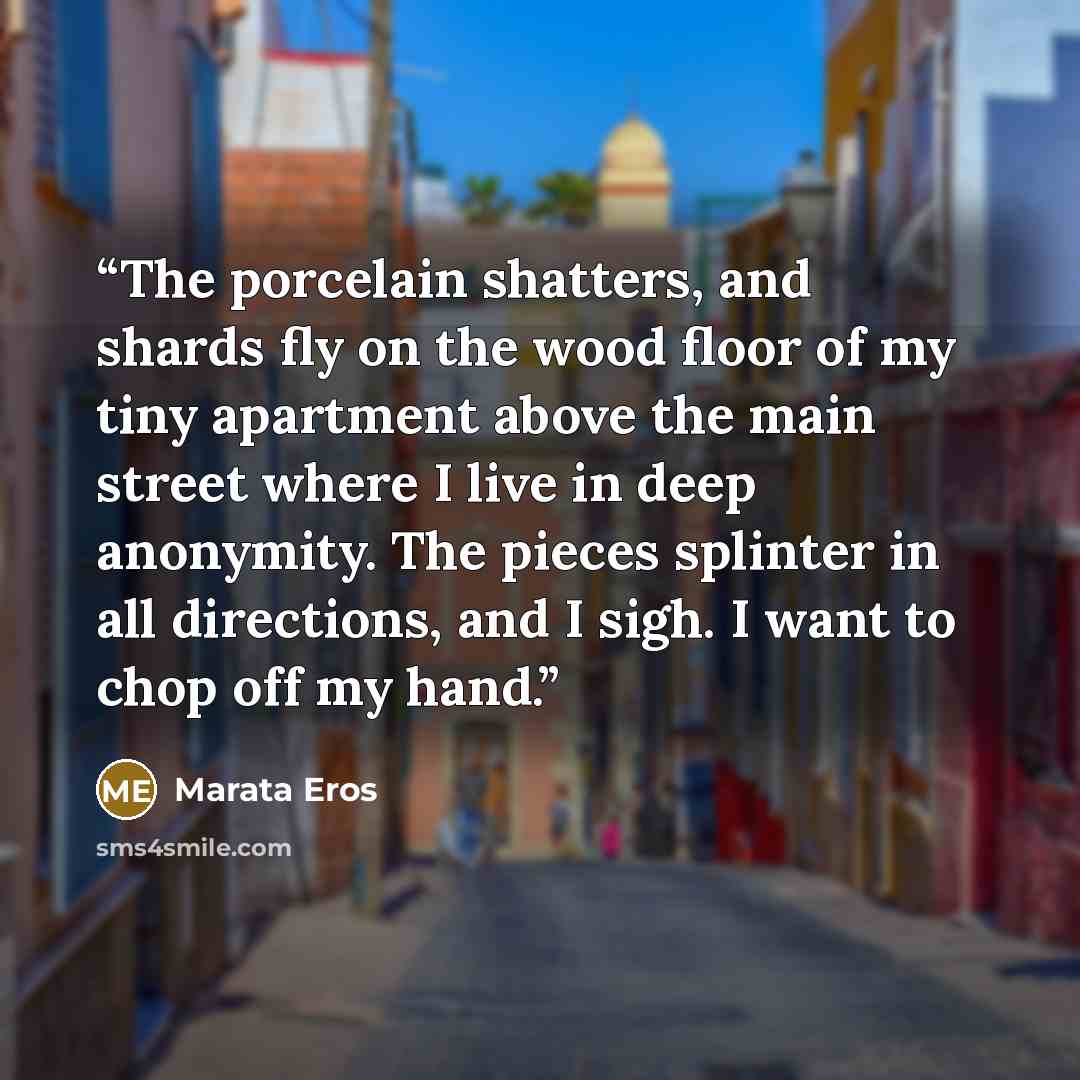 “The porcelain shatters, and shards fly on the wood floor of my tiny apartment above the main street where I live in deep anonymity. The pieces splinter in all directions, and I sigh. I want to chop off my hand.” quote by Marata Eros