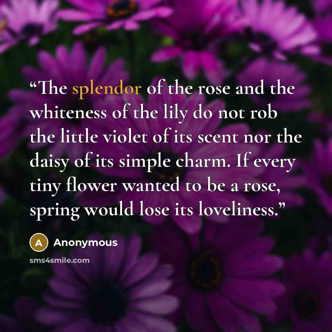 “The splendor of the rose and the whiteness of the lily do not rob the little violet of its scent nor the daisy of its simple charm. If every tiny flower wanted to be a rose, spring would lose its loveliness.” quote by Anonymous