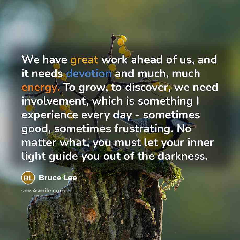 “We have great work ahead of us, and it needs devotion and much, much energy. To grow, to discover, we need involvement, which is something I experience every day - sometimes good, sometimes frustrating. No matter what, you must let your inner light guide you out of the darkness.” quote by Bruce Lee