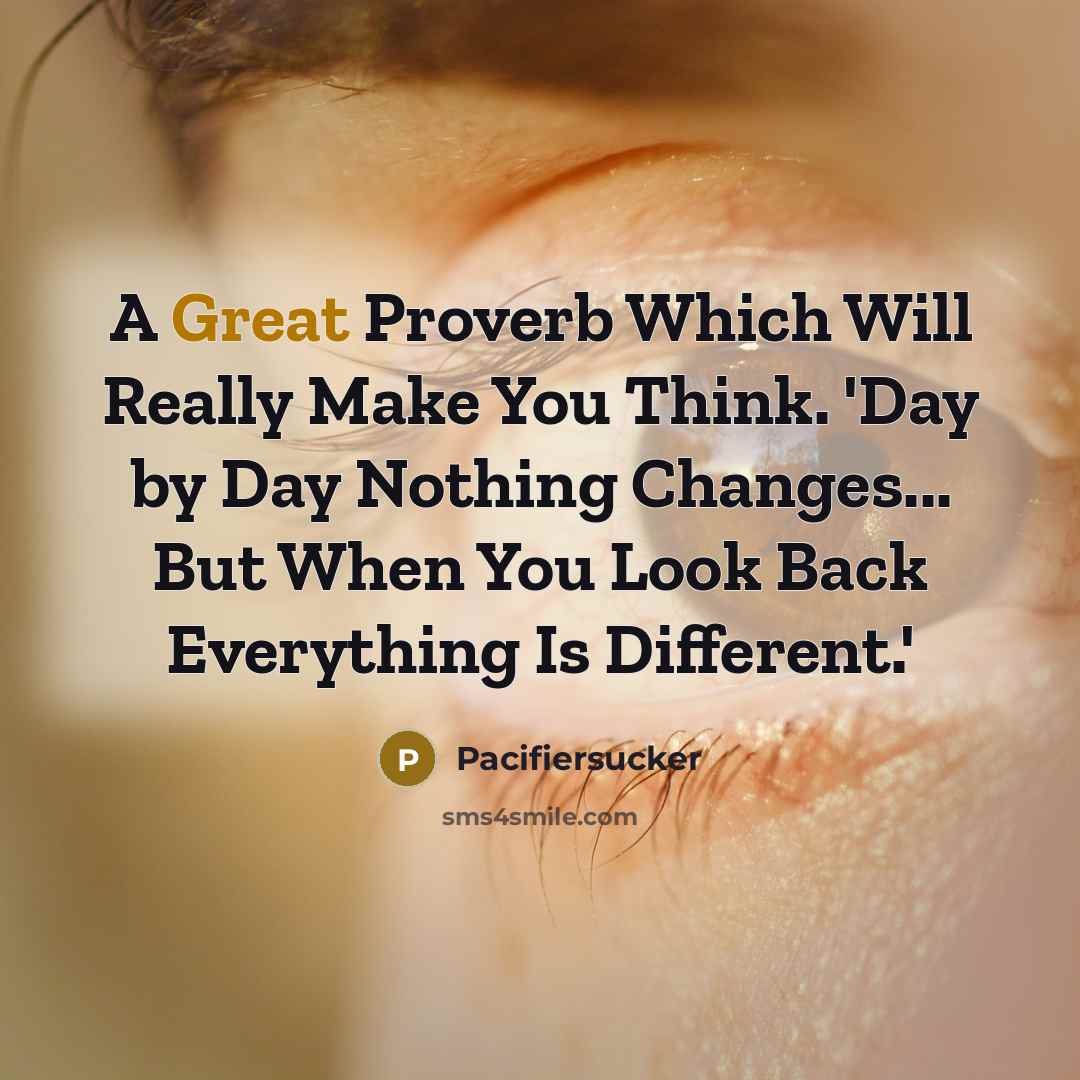 “A Great Proverb Which Will Really Make You Think. 'Day by Day Nothing Changes... But When You Look Back Everything Is Different.'” quote by Pacifiersucker
