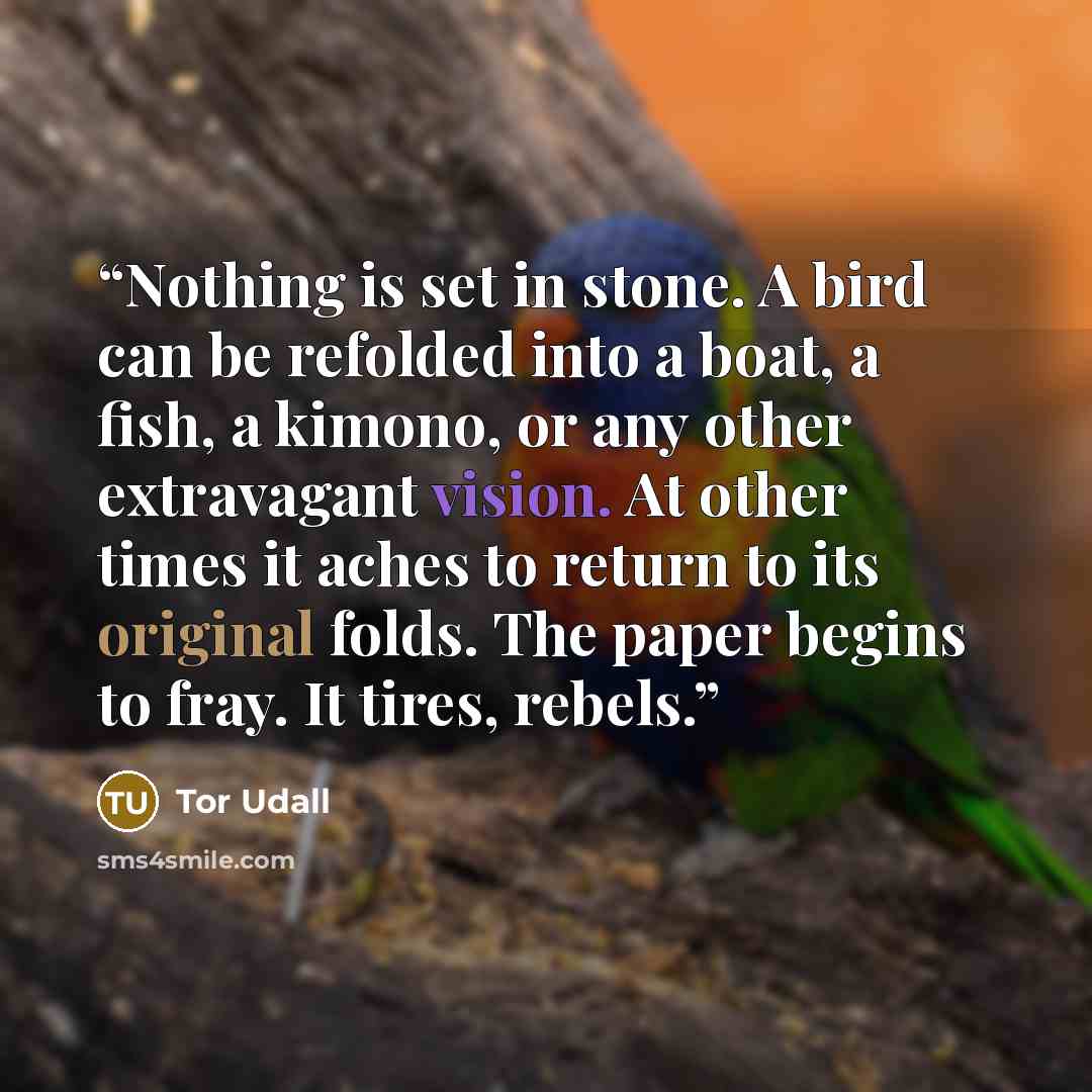 “Nothing is set in stone. A bird can be refolded into a boat, a fish, a kimono, or any other extravagant vision. At other times it aches to return to its original folds. The paper begins to fray. It tires, rebels.” quote by Tor Udall