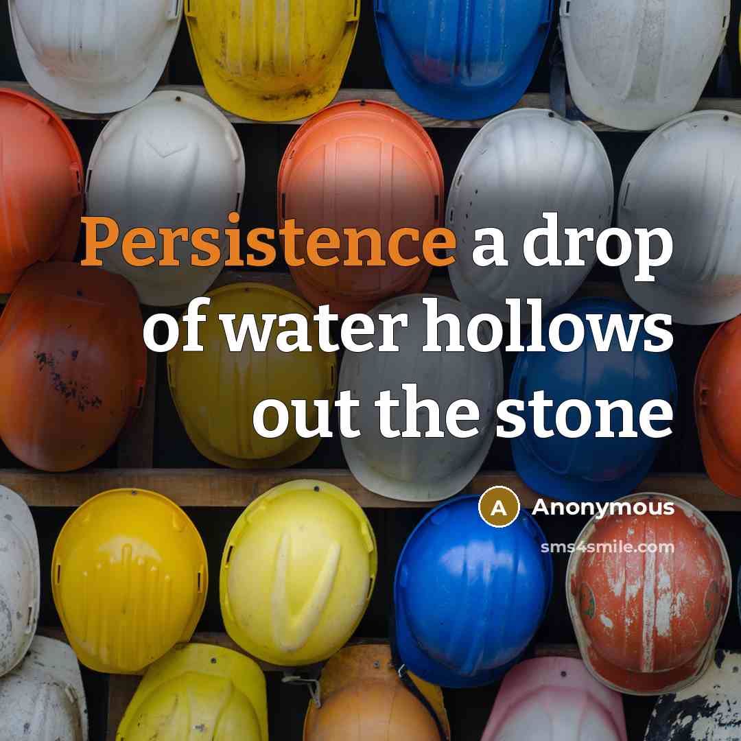 “Persistence a drop of water hollows out the stone” quote by Anonymous