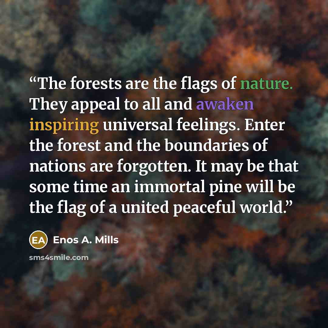 “The forests are the flags of nature. They appeal to all and awaken inspiring universal feelings. Enter the forest and the boundaries of nations are forgotten. It may be that some time an immortal pine will be the flag of a united peaceful world.” quote by Enos A. Mills