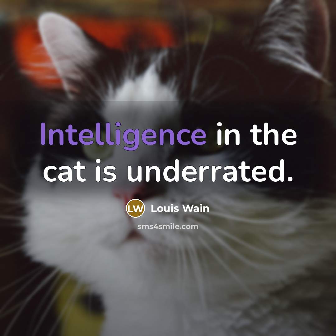 “Intelligence in the cat is underrated.” quote by Louis Wain