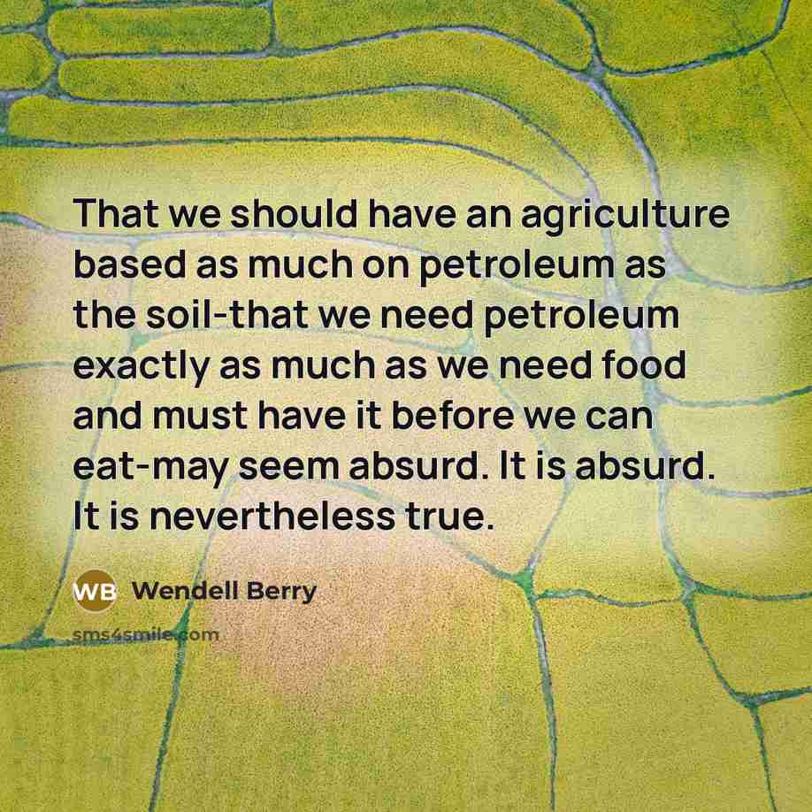 “That we should have an agriculture based as much on petroleum as the soil-that we need petroleum exactly as much as we need food and must have it before we can eat-may seem absurd. It is absurd. It is nevertheless true.” quote by Wendell Berry