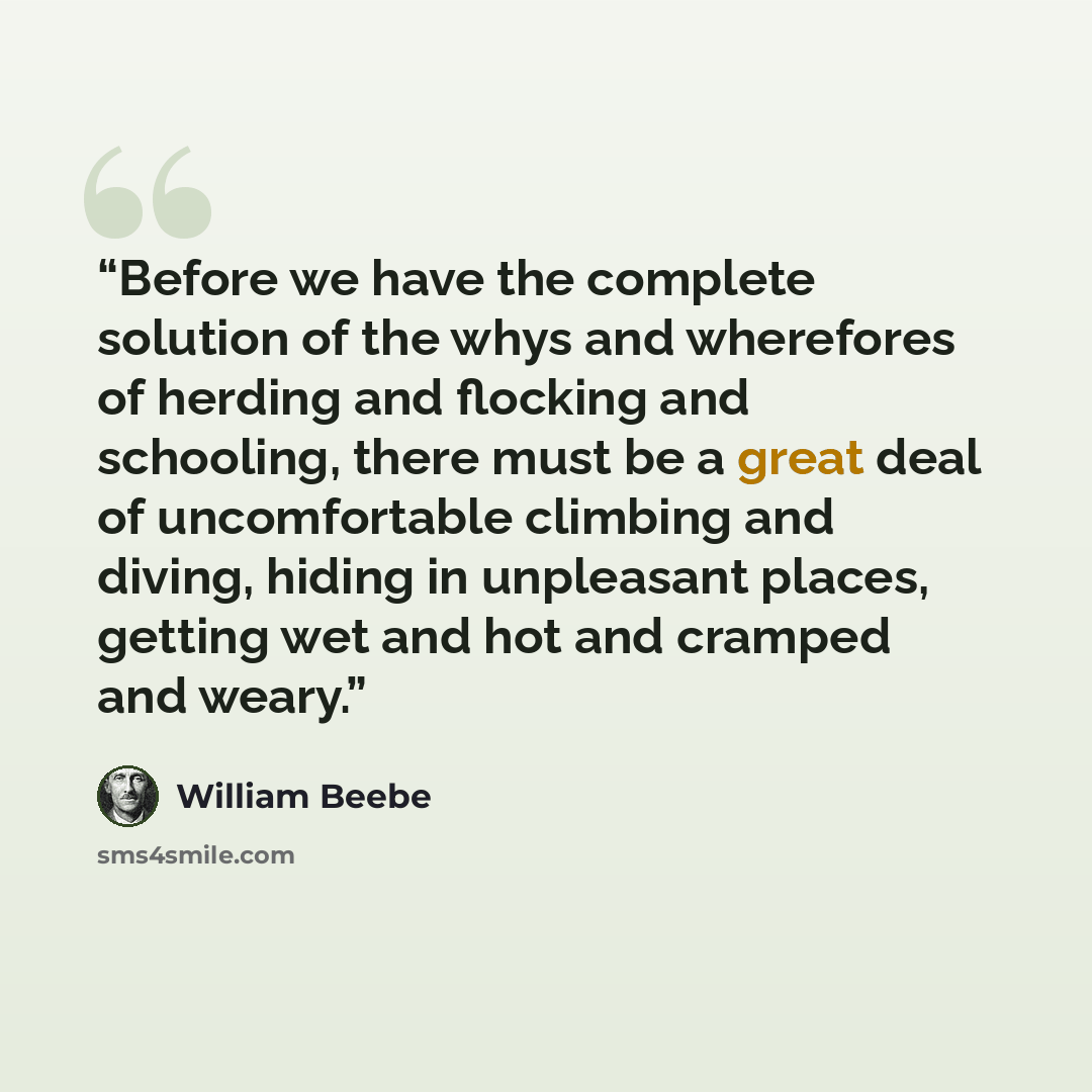 “Before we have the complete solution of the whys and wherefores of herding and flocking and schooling, there must be a great deal of uncomfortable climbing and diving, hiding in unpleasant places, getting wet and hot and cramped and weary.” quote by William Beebe