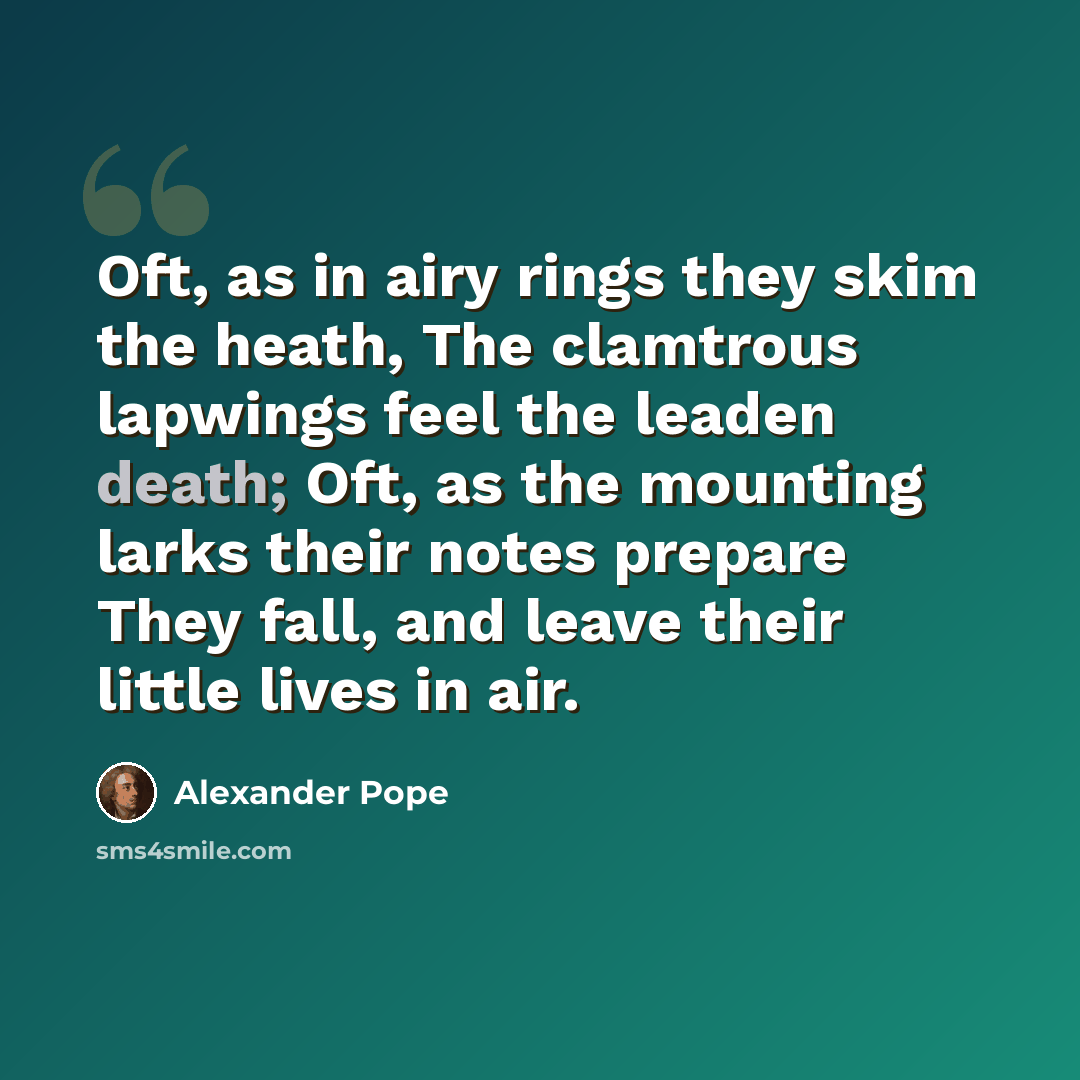 “Oft, as in airy rings they skim the heath, The clamtrous lapwings feel the leaden death; Oft, as the mounting larks their notes prepare They fall, and leave their little lives in air.” quote by Alexander Pope