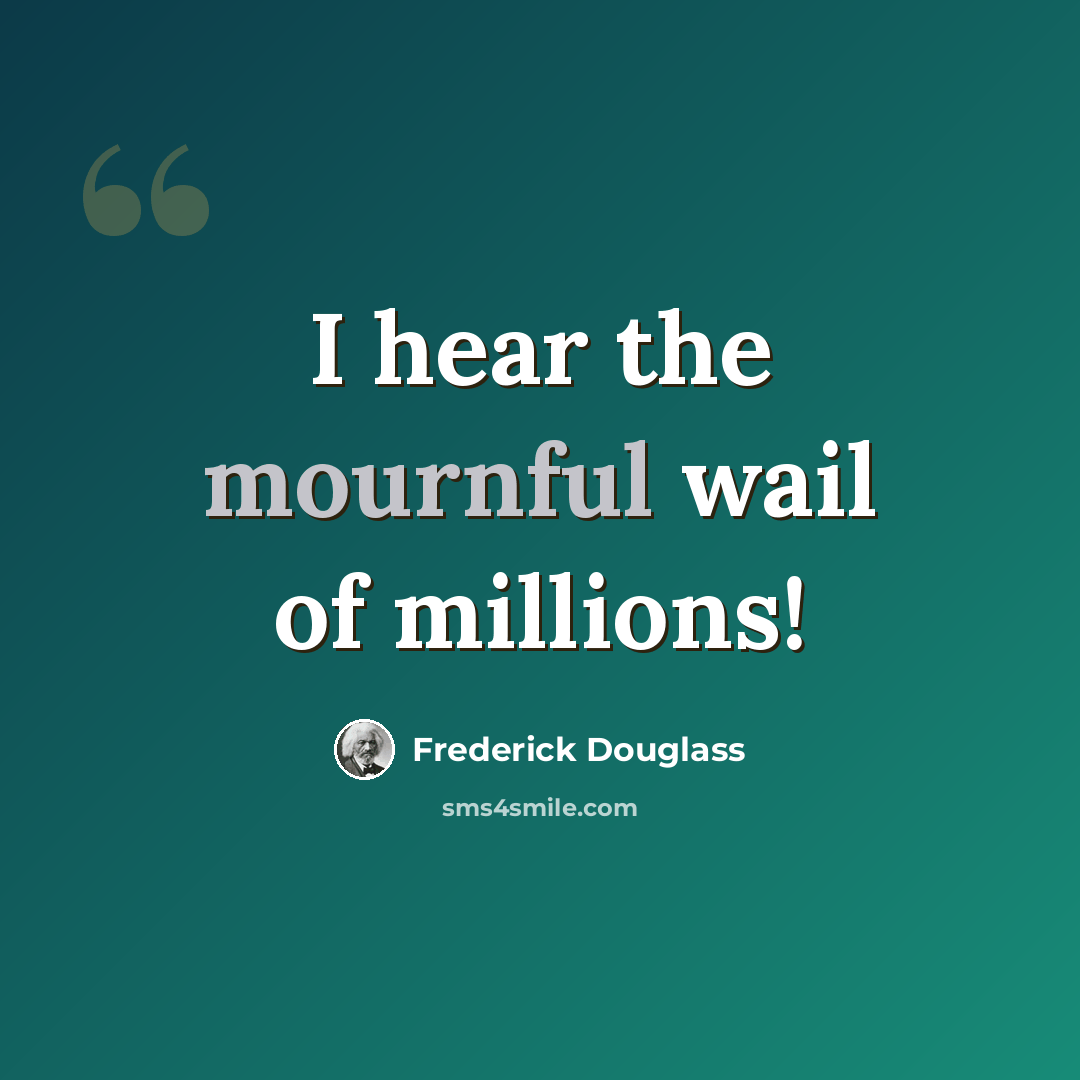 “I hear the mournful wail of millions!” quote by Frederick Douglass