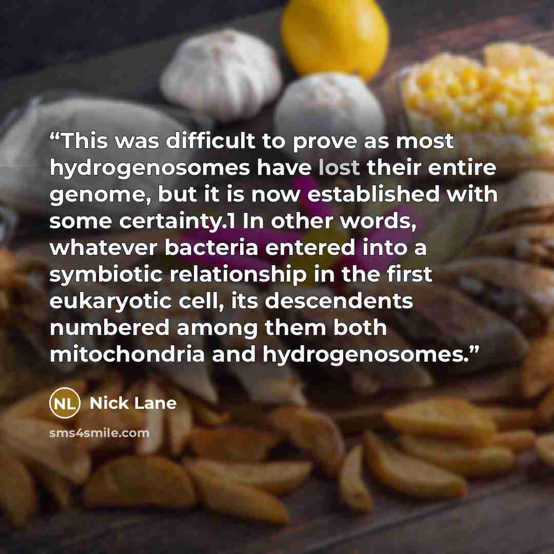 “This was difficult to prove as most hydrogenosomes have lost their entire genome, but it is now established with some certainty.1 In other words, whatever bacteria entered into a symbiotic relationship in the first eukaryotic cell, its descendents numbered among them both mitochondria and…” quote by Nick Lane