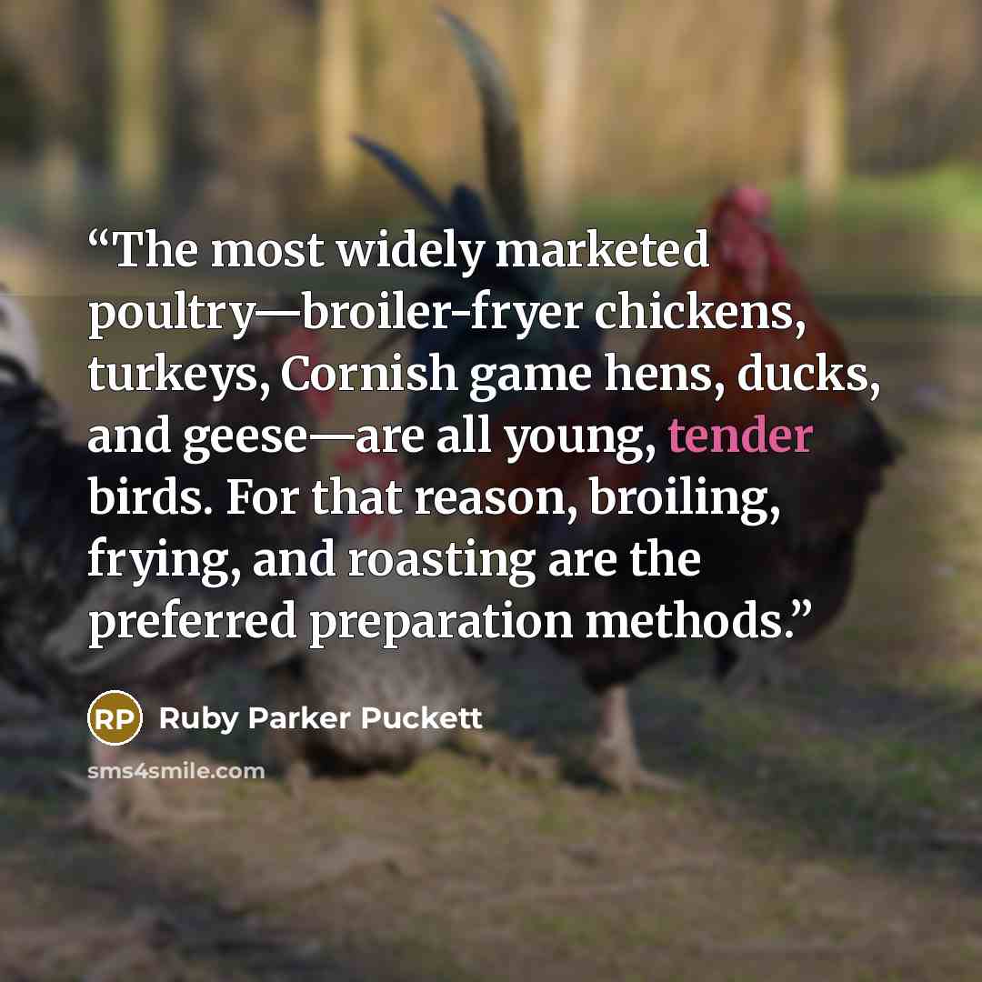 “The most widely marketed poultry—broiler-fryer chickens, turkeys, Cornish game hens, ducks, and geese—are all young, tender birds. For that reason, broiling, frying, and roasting are the preferred preparation methods.” quote by Ruby Parker Puckett