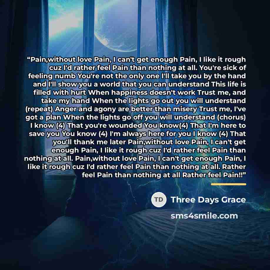 “Pain,without love Pain, I can't get enough Pain, I like it rough cuz I'd rather feel Pain than nothing at all. You're sick of feeling numb You're not the only one I'll take you by the hand and I'll show you a world that you can understand This life is filled with hurt When happiness doesn't work…” quote by Three Days Grace