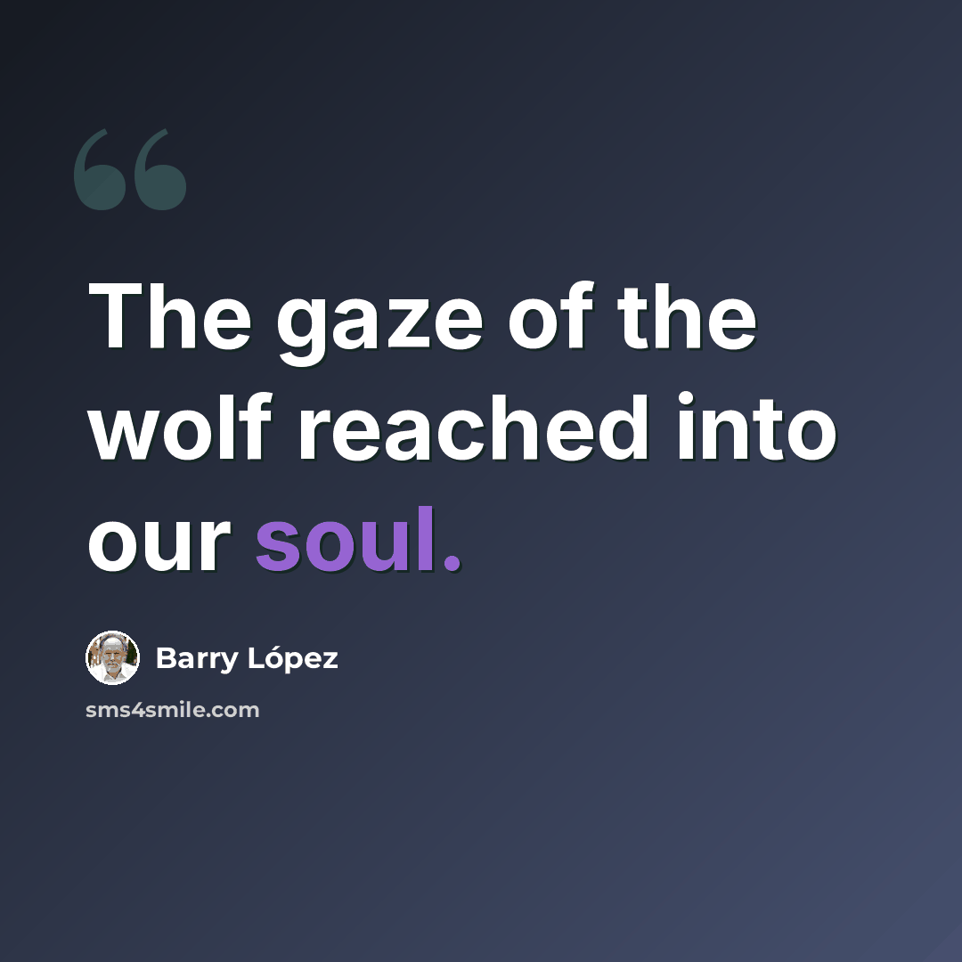 “The gaze of the wolf reached into our soul.” quote by Barry Lopez