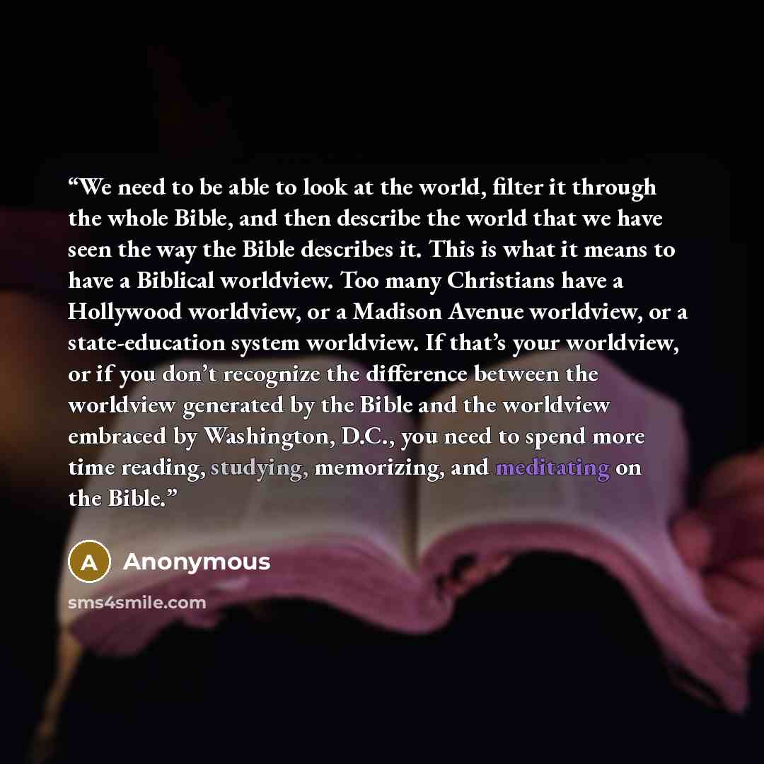 “We need to be able to look at the world, filter it through the whole Bible, and then describe the world that we have seen the way the Bible describes it. This is what it means to have a Biblical worldview. Too many Christians have a Hollywood worldview, or a Madison Avenue worldview, or a…” quote by Anonymous