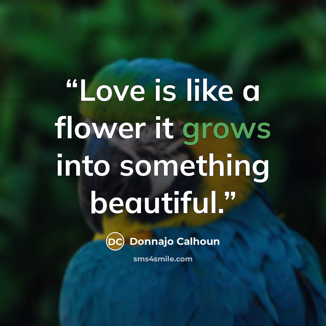 “Love is like a flower it grows into something beautiful.” quote by Donnajo Calhoun