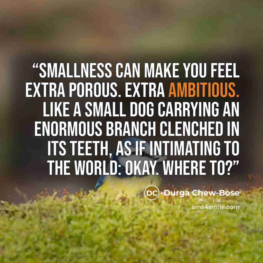 “Smallness can make you feel extra porous. Extra ambitious. Like a small dog carrying an enormous branch clenched in its teeth, as if intimating to the world: Okay. Where to?” quote by Durga Chew-Bose