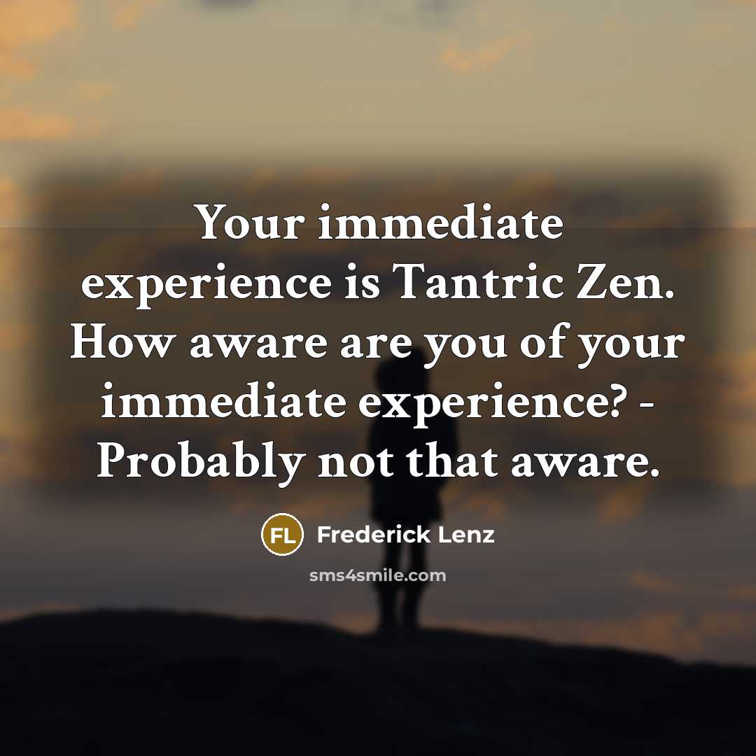 “Your immediate experience is Tantric Zen. How aware are you of your immediate experience? - Probably not that aware.” quote by Frederick Lenz
