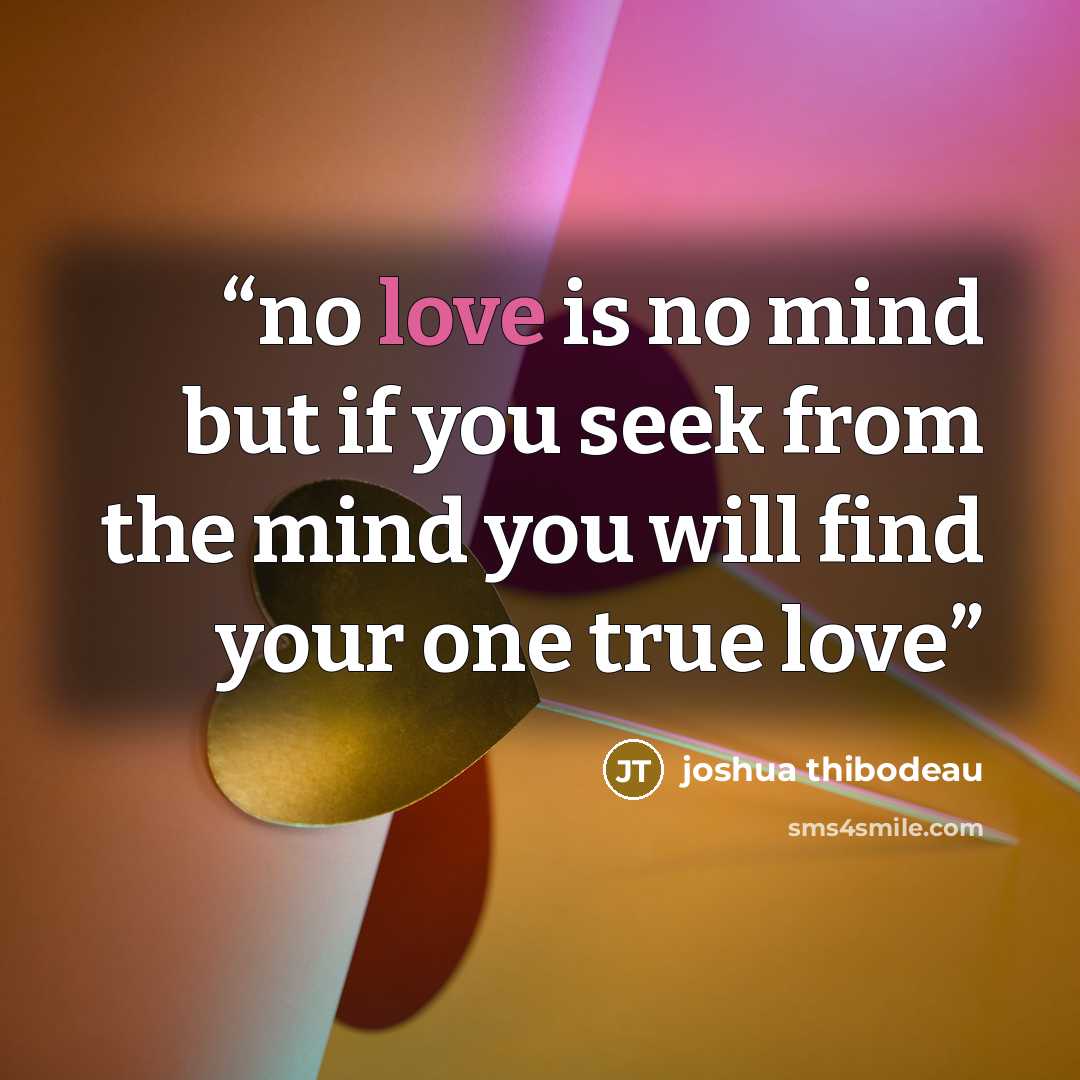 “no love is no mind but if you seek from the mind you will find your one true love” quote by joshua thibodeau