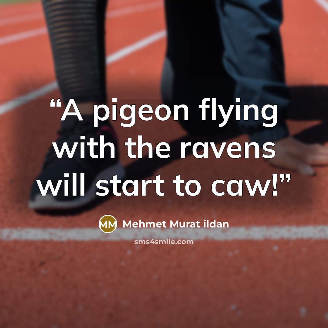 “A pigeon flying with the ravens will start to caw!” quote by Mehmet Murat ildan