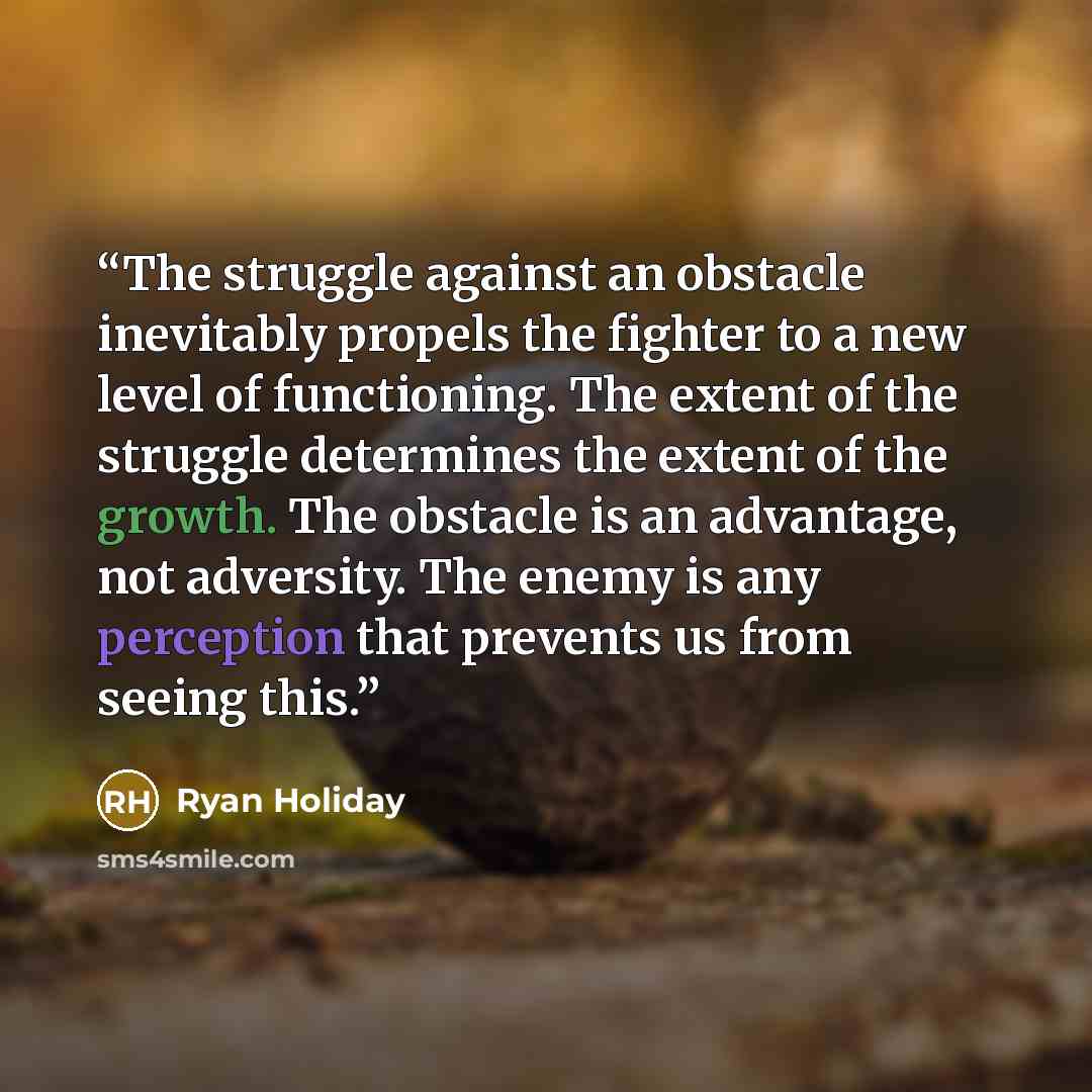“The struggle against an obstacle inevitably propels the fighter to a new level of functioning. The extent of the struggle determines the extent of the growth. The obstacle is an advantage, not adversity. The enemy is any perception that prevents us from seeing this.” quote by Ryan Holiday