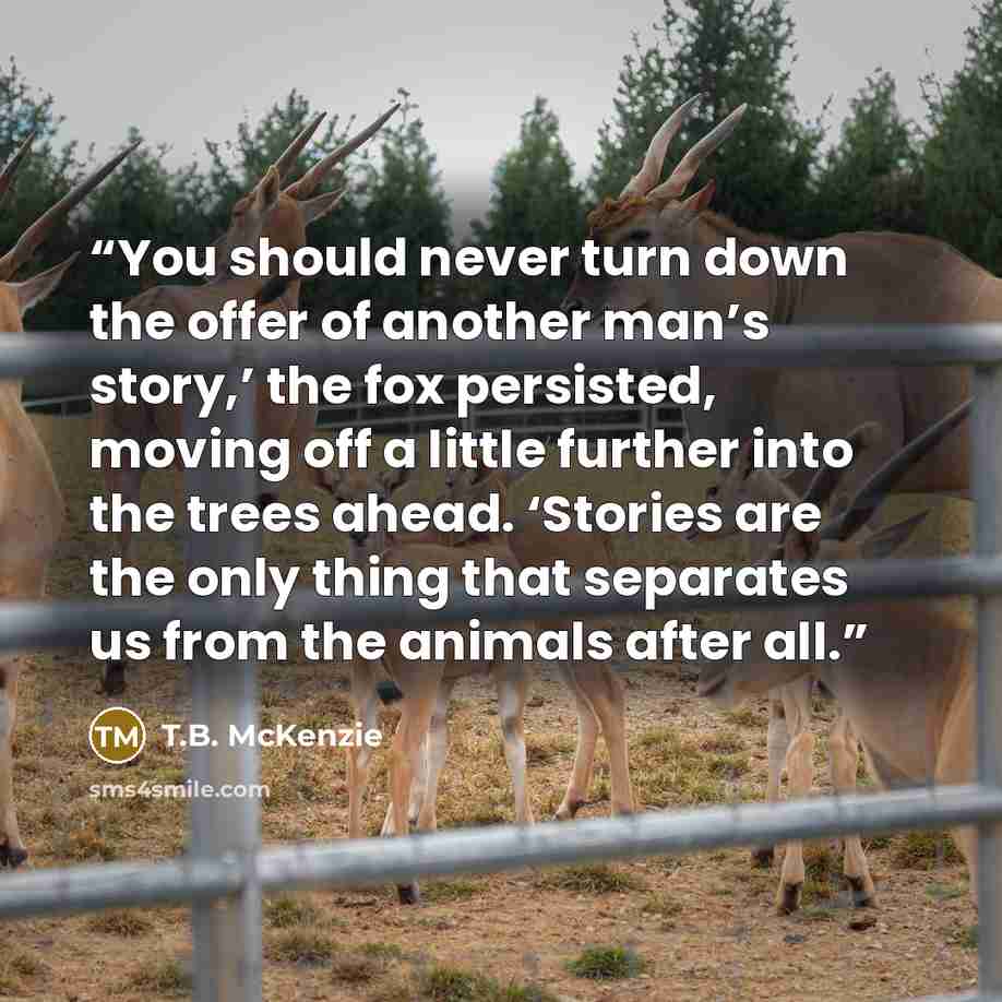 “You should never turn down the offer of another man’s story,’ the fox persisted, moving off a little further into the trees ahead. ‘Stories are the only thing that separates us from the animals after all.” quote by T.B. McKenzie