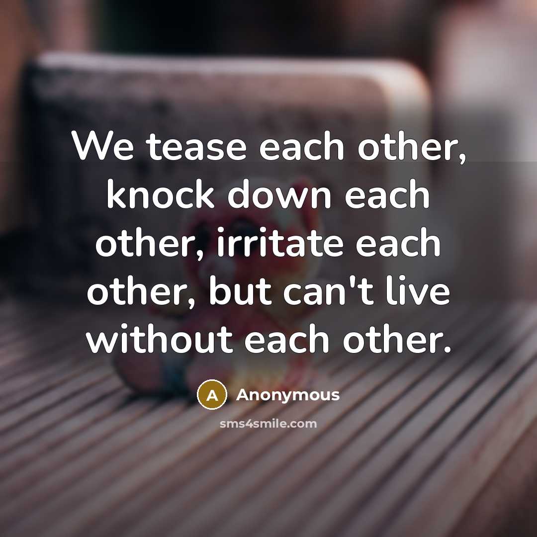 “We tease each other, knock down each other, irritate each other, but can't live without each other.” quote by Anonymous