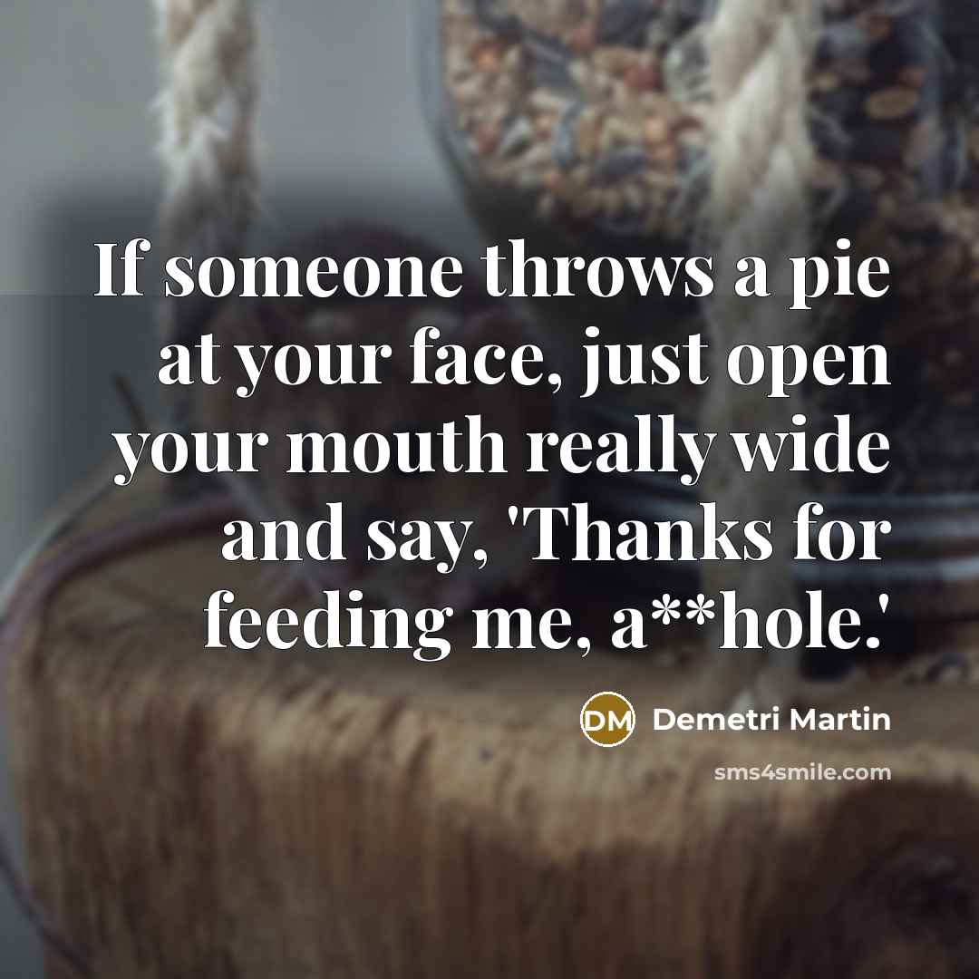 “If someone throws a pie at your face, just open your mouth really wide and say, 'Thanks for feeding me, a**hole.'” quote by Demetri Martin