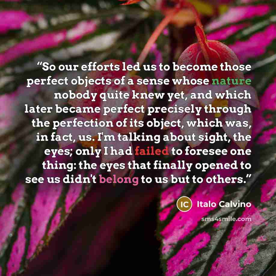 “So our efforts led us to become those perfect objects of a sense whose nature nobody quite knew yet, and which later became perfect precisely through the perfection of its object, which was, in fact, us. I'm talking about sight, the eyes; only I had failed to foresee one thing: the eyes that…” quote by Italo Calvino