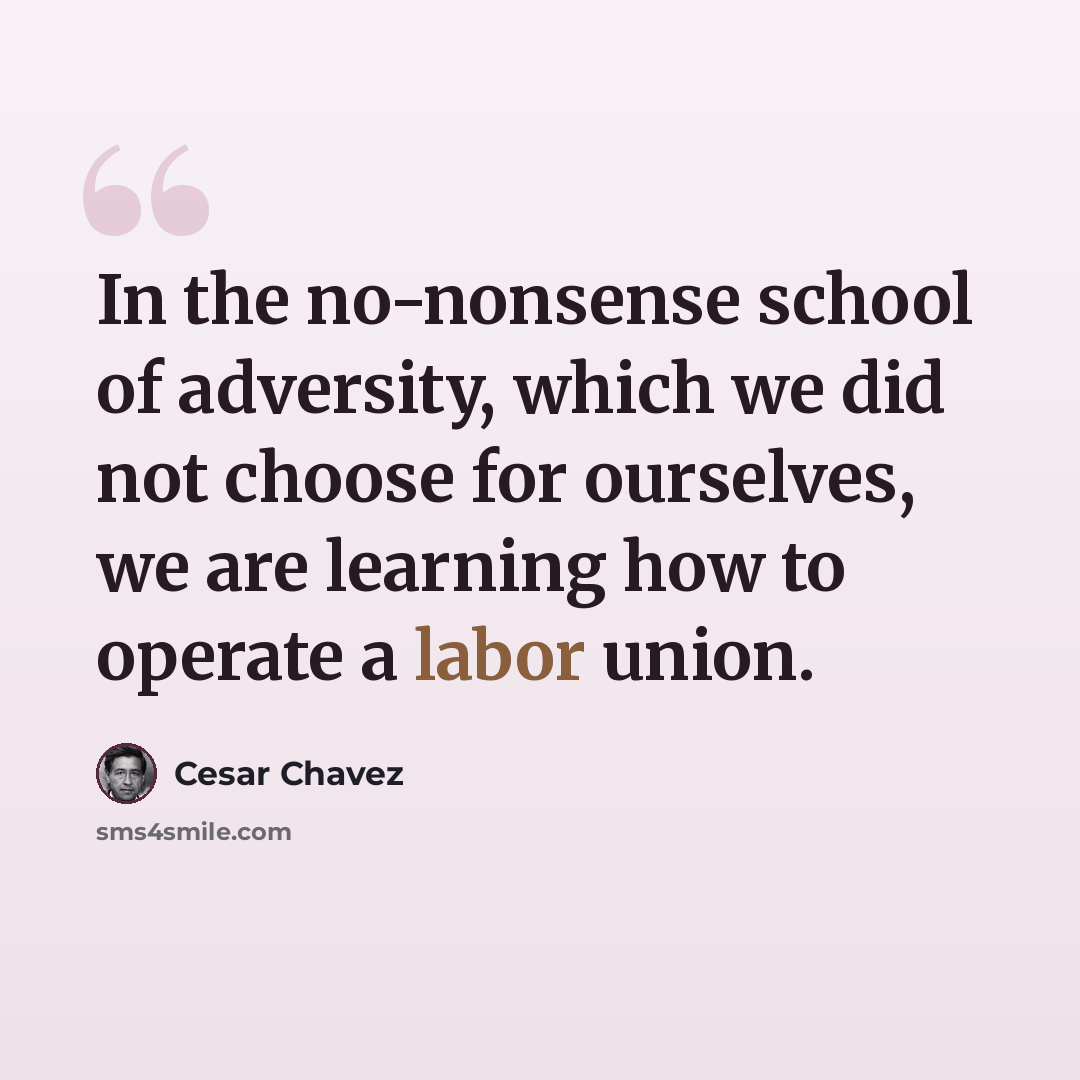 “In the no-nonsense school of adversity, which we did not choose for ourselves, we are learning how to operate a labor union.” quote by Cesar Chavez