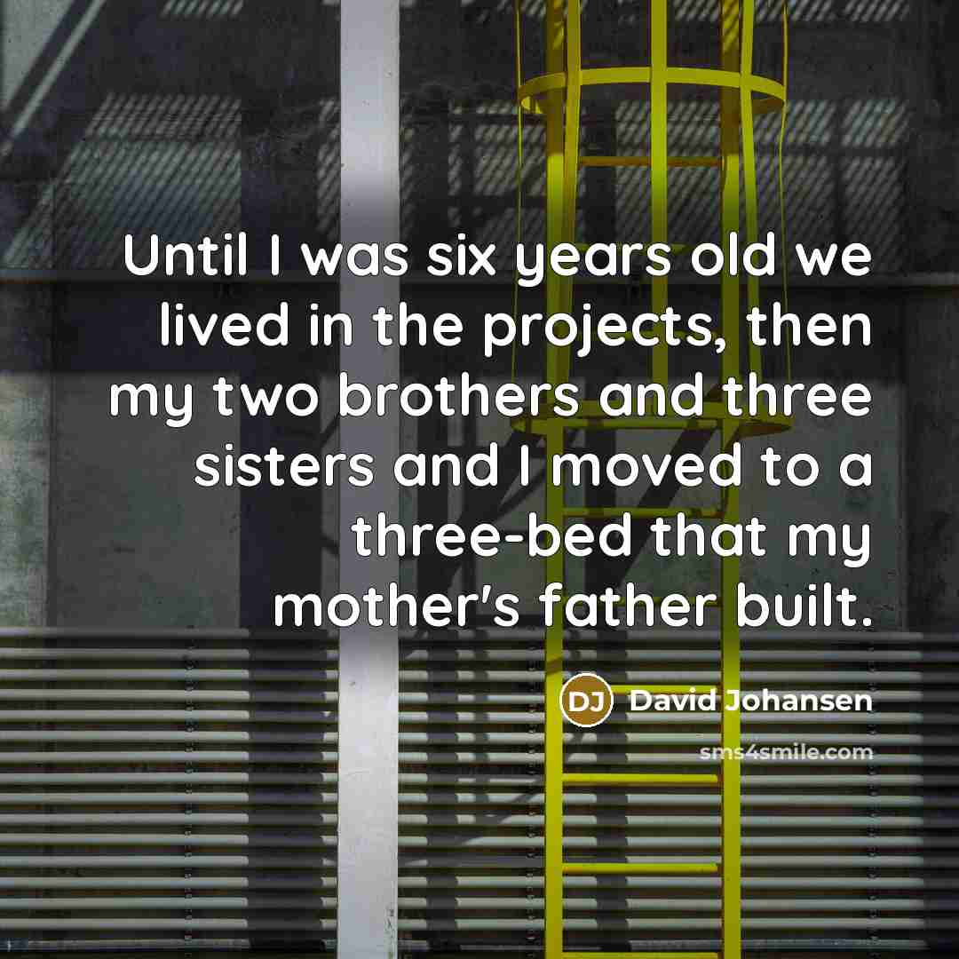 “Until I was six years old we lived in the projects, then my two brothers and three sisters and I moved to a three-bed that my mother's father built.” quote by David Johansen