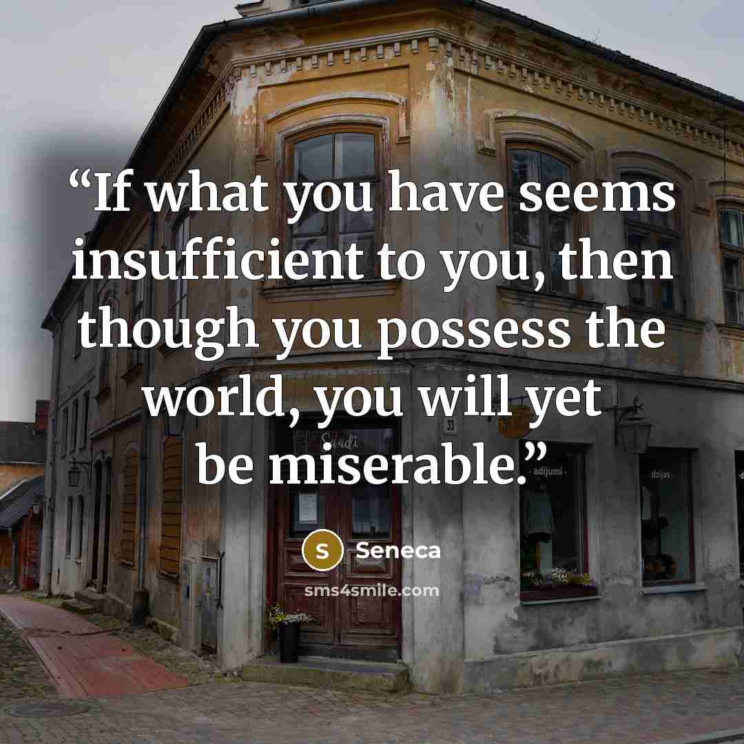 “If what you have seems insufficient to you, then though you possess the world, you will yet be miserable.” quote by Seneca
