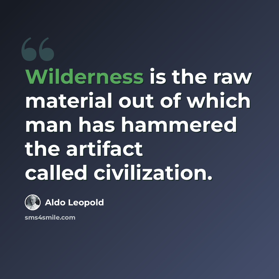 “Wilderness is the raw material out of which man has hammered the artifact called civilization.” quote by Aldo Leopold