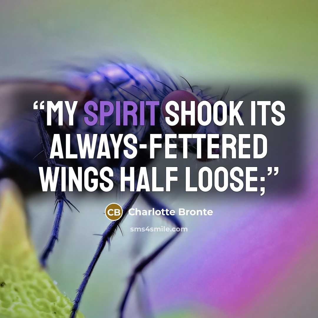 “my spirit shook its always-fettered wings half loose;” quote by Charlotte Brontë