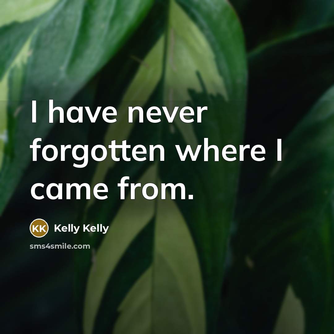 “I have never forgotten where I came from.” quote by Kelly Kelly