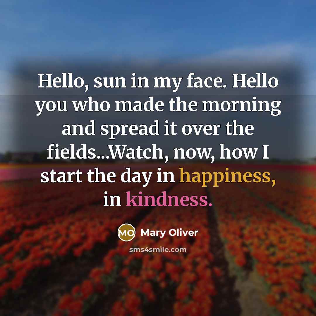 “Hello, sun in my face. Hello you who made the morning and spread it over the fields...Watch, now, how I start the day in happiness, in kindness.” quote by Mary Oliver
