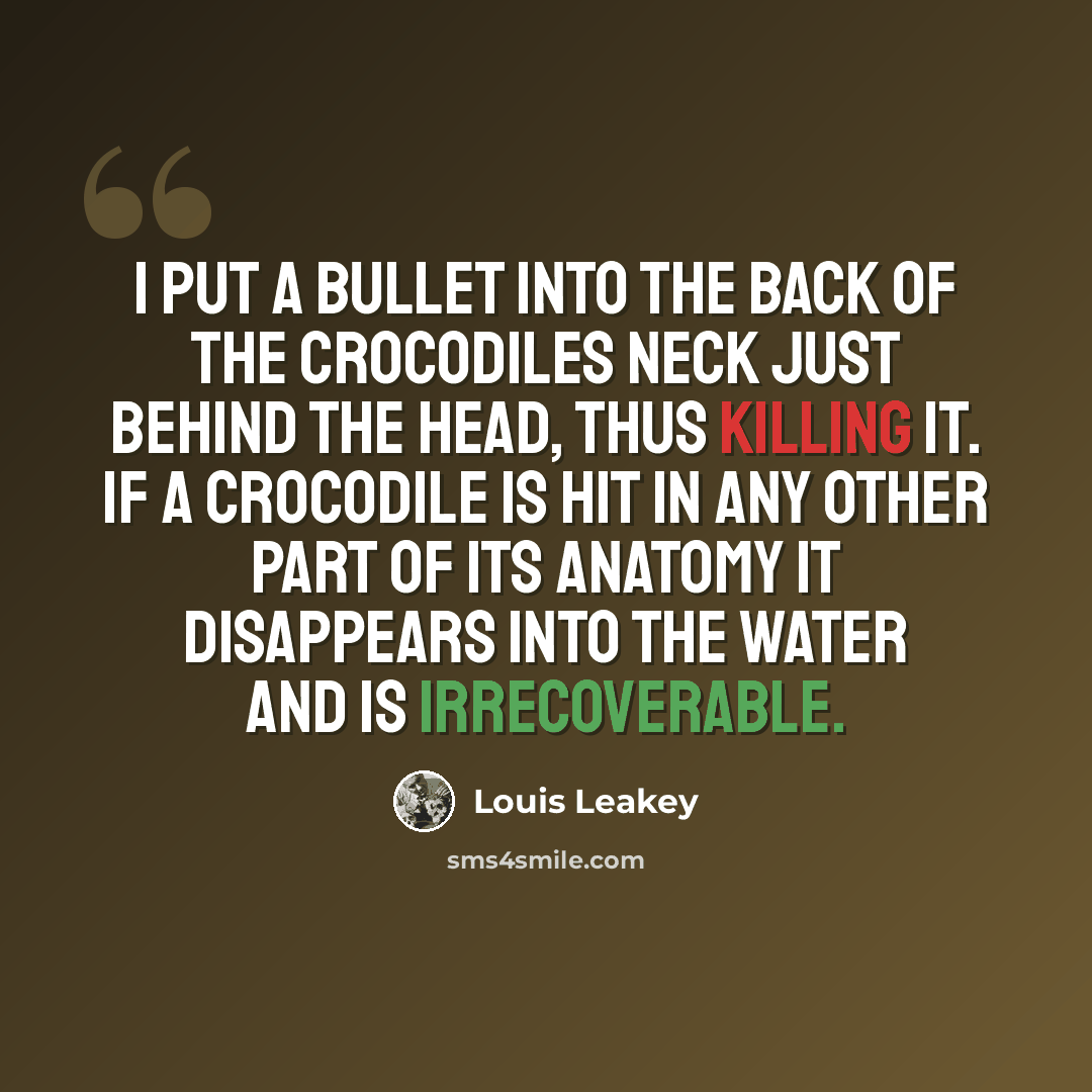 “I put a bullet into the back of the crocodiles neck just behind the head, thus killing it. If a crocodile is hit in any other part of its anatomy it disappears into the water and is irrecoverable.” quote by Louis Leakey