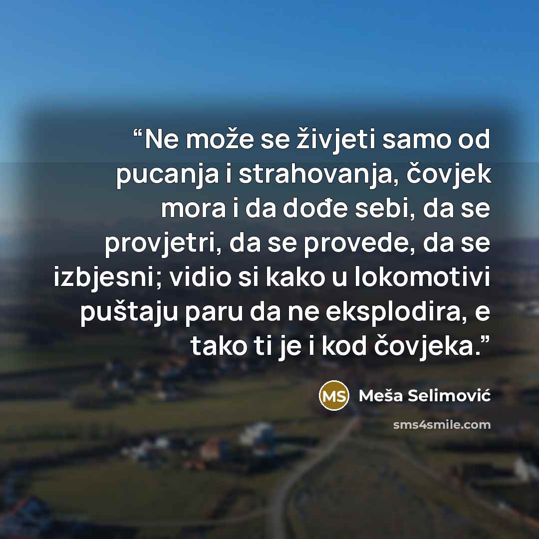 “Ne može se živjeti samo od pucanja i strahovanja, čovjek mora i da dođe sebi, da se provjetri, da se provede, da se izbjesni; vidio si kako u lokomotivi puštaju paru da ne eksplodira, e tako ti je i kod čovjeka.” quote by Meša Selimović