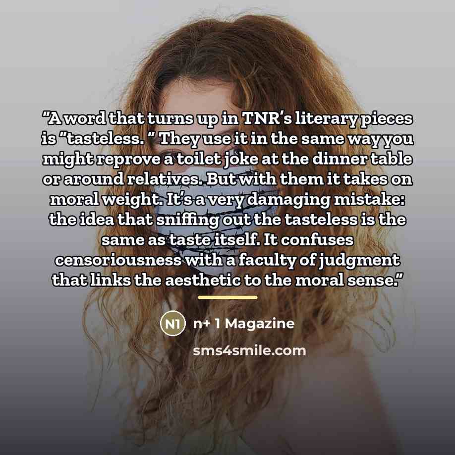 “A word that turns up in TNR’s literary pieces is “tasteless. “ They use it in the same way you might reprove a toilet joke at the dinner table or around relatives. But with them it takes on moral weight. It’s a very damaging mistake: the idea that sniffing out the tasteless is the same as taste…” quote by n+ 1 Magazine