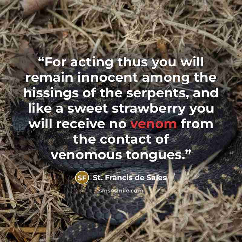 “For acting thus you will remain innocent among the hissings of the serpents, and like a sweet strawberry you will receive no venom from the contact of venomous tongues.” quote by St. Francis de Sales