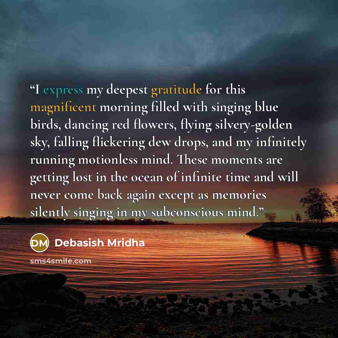 “I express my deepest gratitude for this magnificent morning filled with singing blue birds, dancing red flowers, flying silvery-golden sky, falling flickering dew drops, and my infinitely running motionless mind. These moments are getting lost in the ocean of infinite time and will never come back…” quote by Debasish Mridha