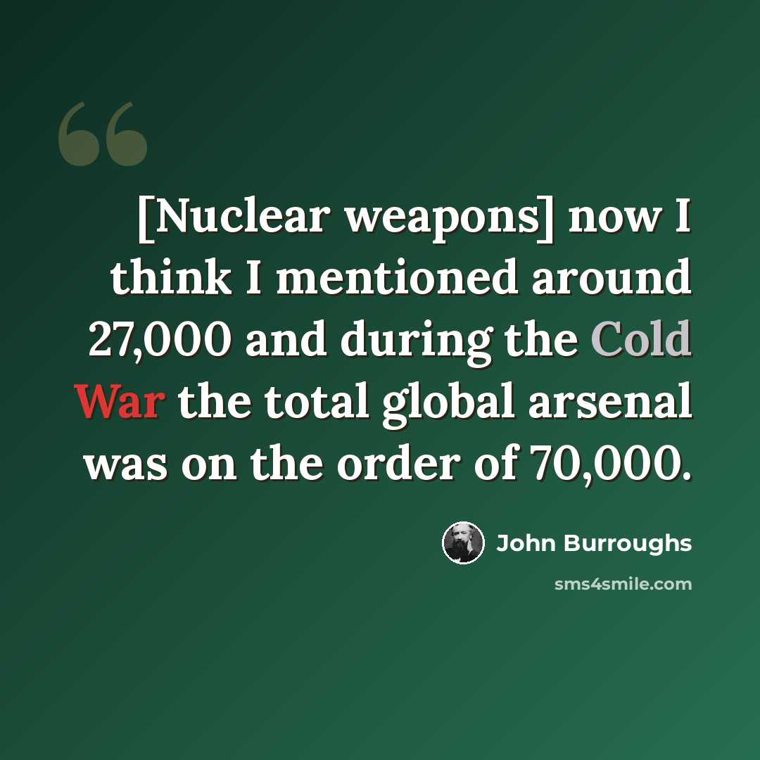“[Nuclear weapons] now I think I mentioned around 27,000 and during the Cold War the total global arsenal was on the order of 70,000.” quote by John Burroughs