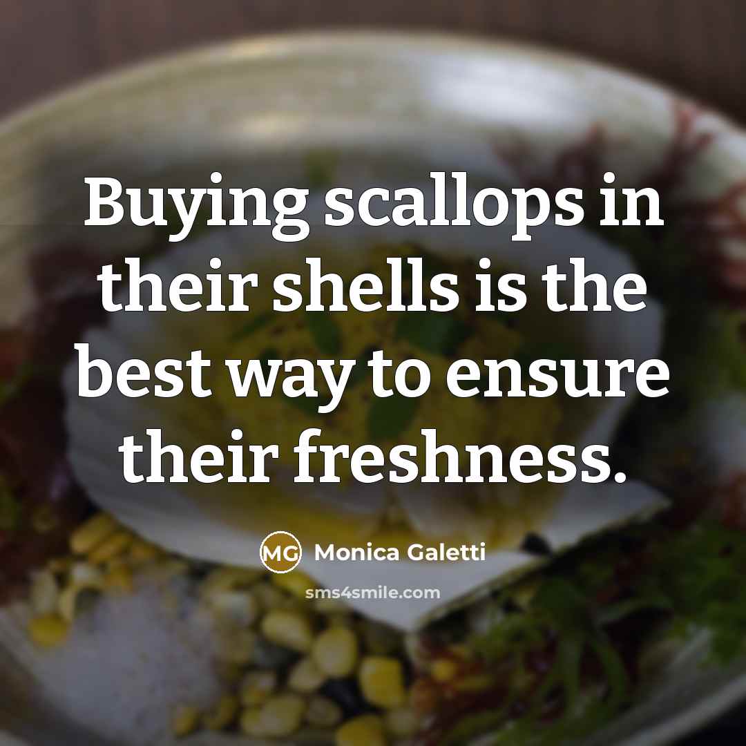 “Buying scallops in their shells is the best way to ensure their freshness.” quote by Monica Galetti